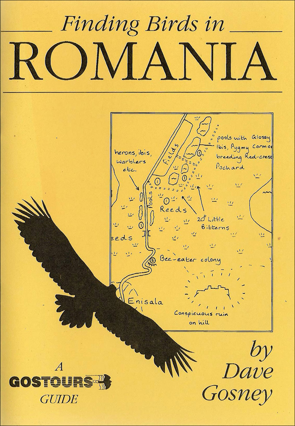FINDING BIRDS IN ROMANIA 1
