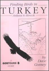 FINDING BIRDS IN TURKEY ANKARA TO BIRECIK 1