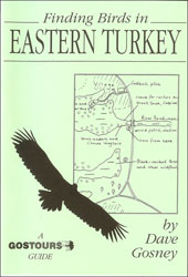 FINDING BIRDS IN EASTERN TURKEY 1