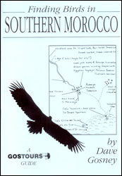 FINDING BIRDS IN SOUTHERN MOROCCO 1