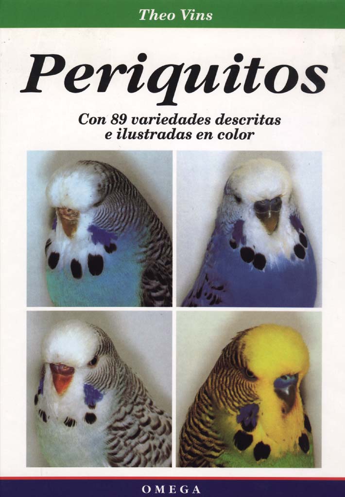 PERIQUITOS 1