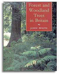 FOREST AND WOODLAND TREES IN BRITAIN 1