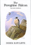 THE PEREGRINE FALCON. 1