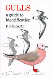 GULLS. A GUIDE TO IDENTIFICATION