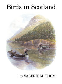 BIRDS IN SCOTLAND