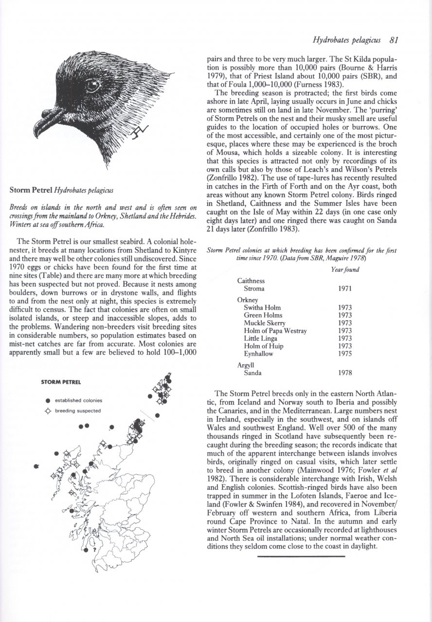 BIRDS IN SCOTLAND 3