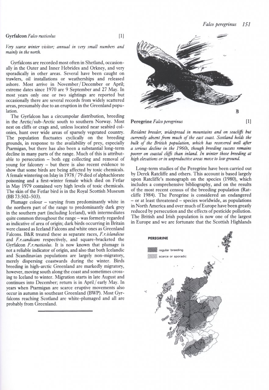 BIRDS IN SCOTLAND 4