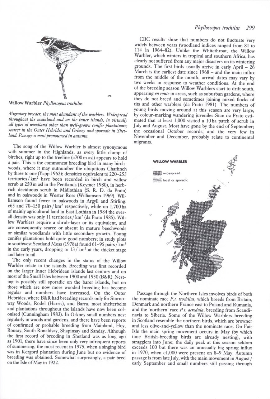 BIRDS IN SCOTLAND 5