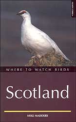 WHERE TO WATCH BIRDS IN SCOTLAND 1