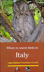 WHERE TO WATCH BIRDS IN ITALY 1