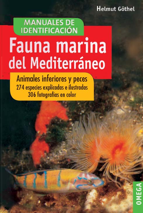 FAUNA MARINA DEL MEDITERRÁNEO                                                                                                                          1