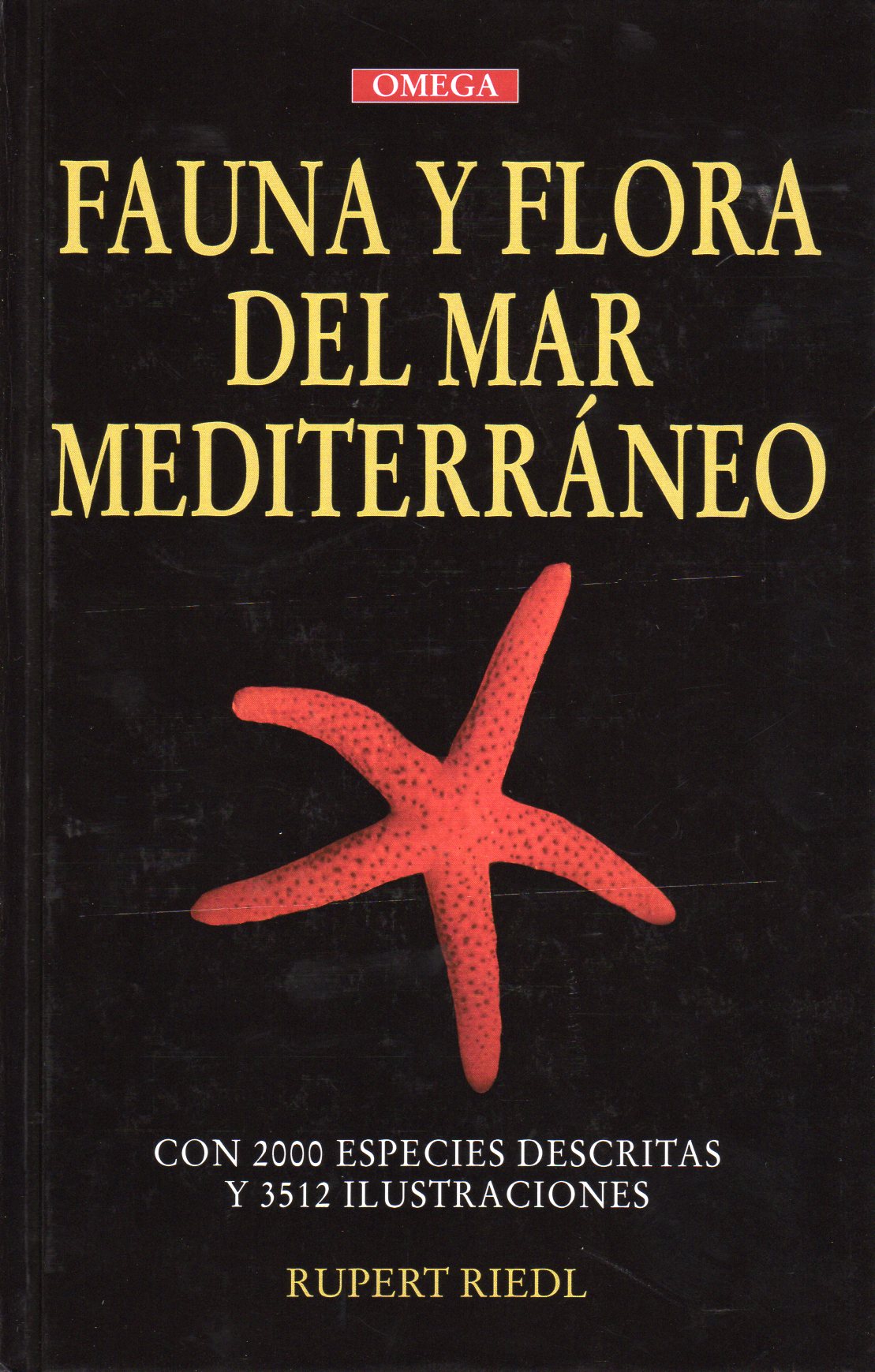 FAUNA Y FLORA DEL MAR MEDITERRANEO 1