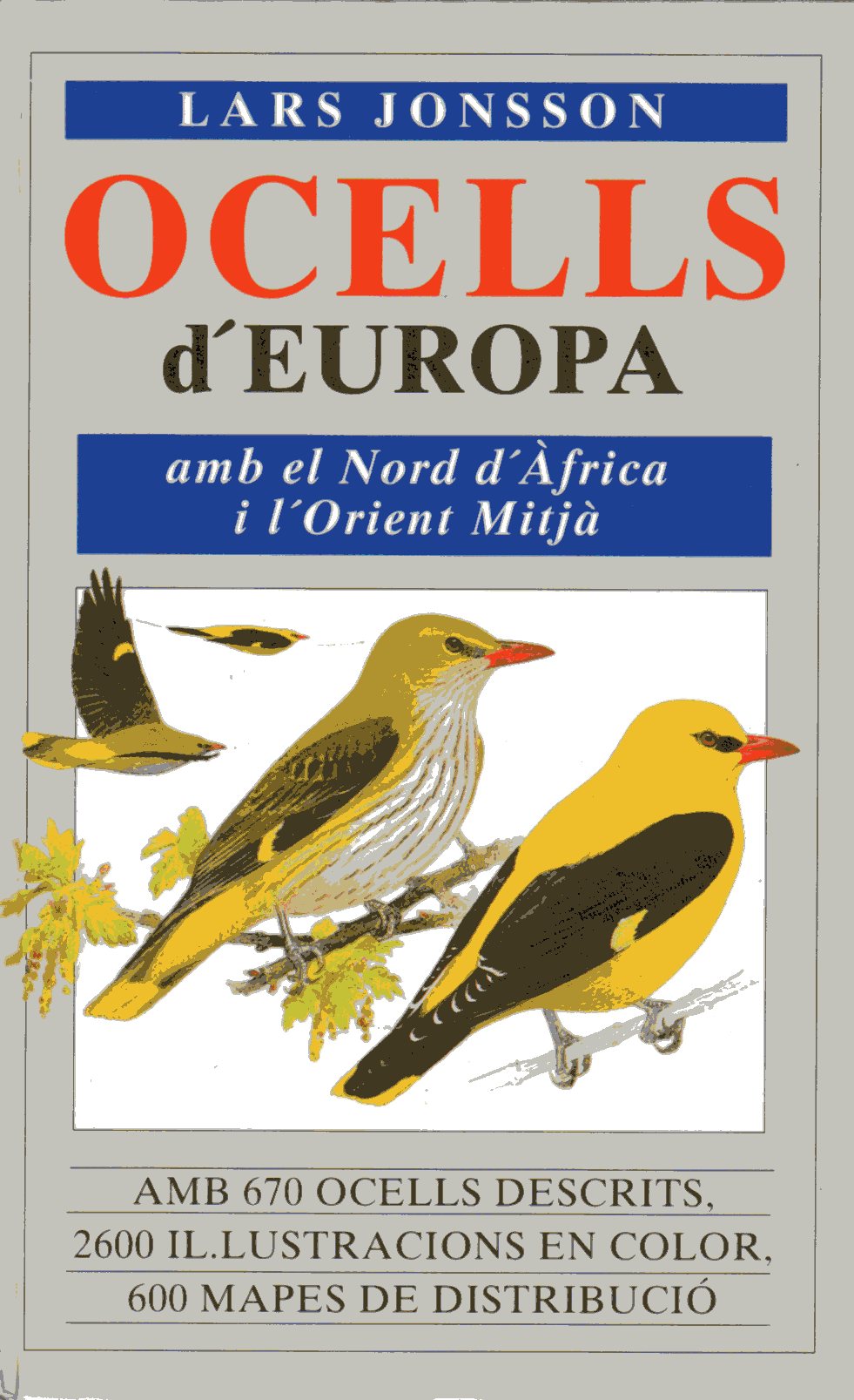 OCELLS D'EUROPA AMB EL NORD D'AFRICA I L'ORIENT MITJA