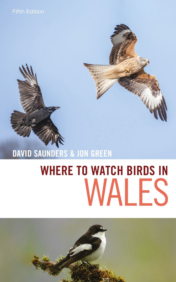 WHERE TO WATCH BIRDS IN WALES. 1