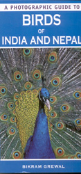 A PHOTOGRAPHIC GUIDE TO BIRDS OF INDIA AND NEPAL