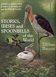 STORKS, IBISES AND SPOONBILLS OF THE WORLD