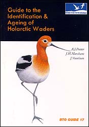 GUIDE TO THE IDENTIFICATION AND AGEING OF HOLARCTIC WADERS 1