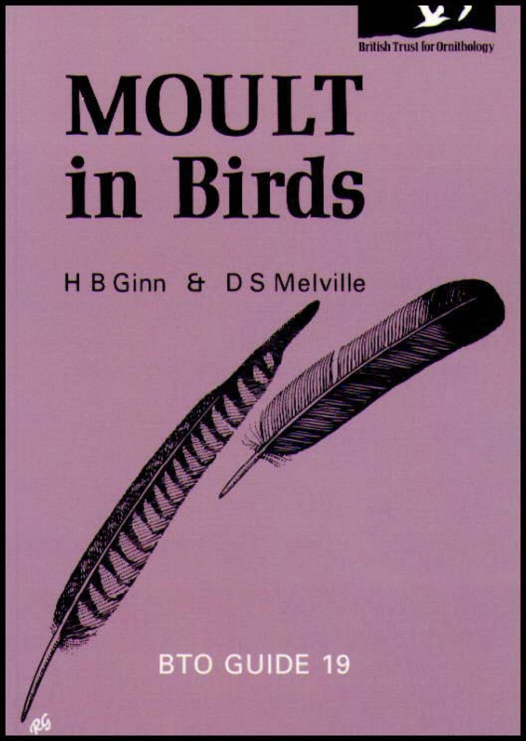 MOULT IN BIRDS