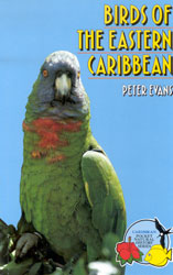 BIRDS OF THE EASTERN CARIBBEAN 1