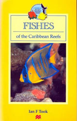 FISHES OF THE CARIBBEAN REEFS 1