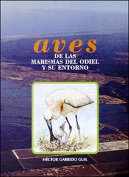 AVES DE LAS MARISMAS DEL ODIEL Y SU ENTORNO 1