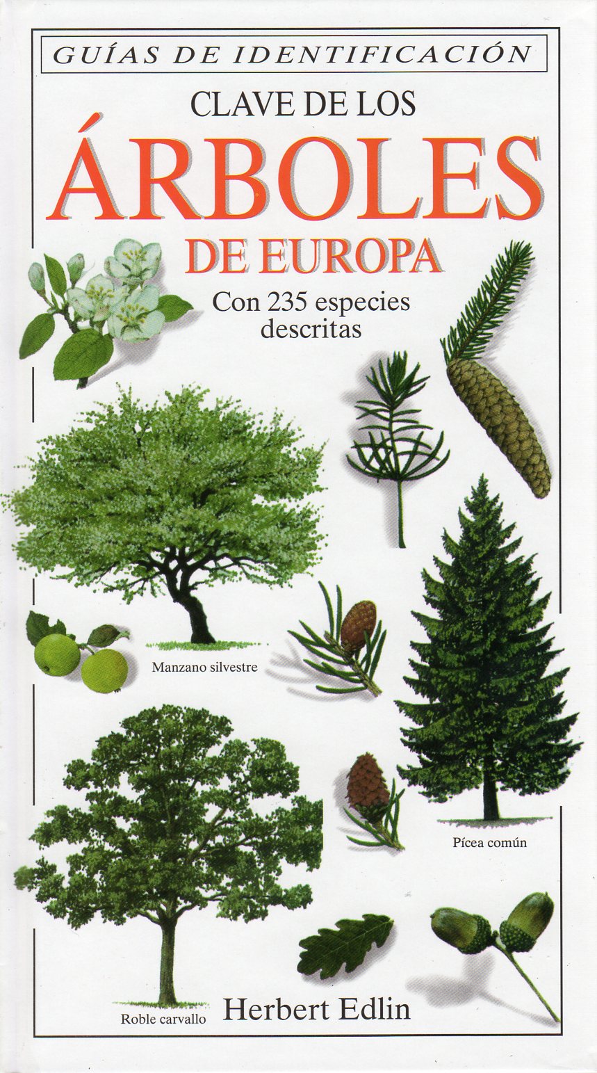 CLAVE DE LOS ÁRBOLES DE EUROPA 1