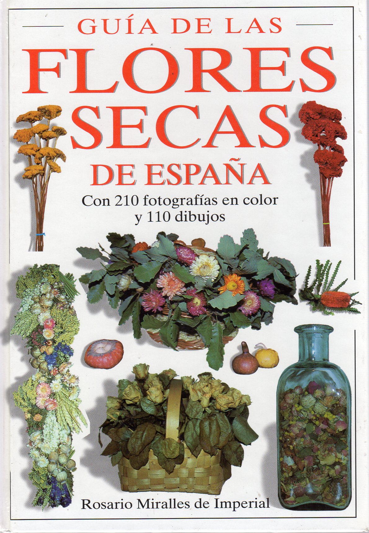 GUÍA DE LAS FLORES SECAS DE ESPAÑA 1
