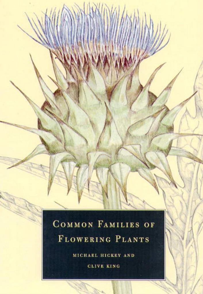 COMMON FAMILIES OF FLOWERING PLANTS 1