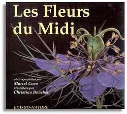 LES FLEURS DU MIDI
