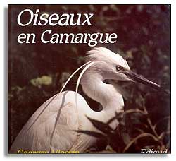 OISEAUX EN CAMARGUE