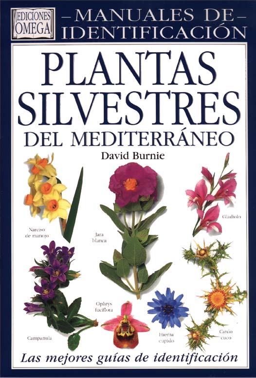 MANUALES DE IDENTIFICACIÓN, PLANTAS SILVESTRES DEL MEDITERRÁNEO 1