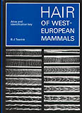 HAIR OF WEST- EUROPEAN MAMMALS. ATLAS AND IDENTIFICATION KEY 1