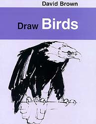 DRAW BIRDS 1