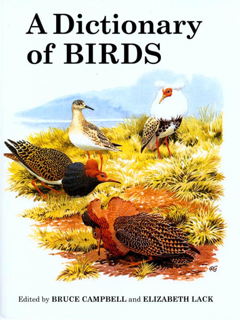 A DICTIONARY OF BIRDS