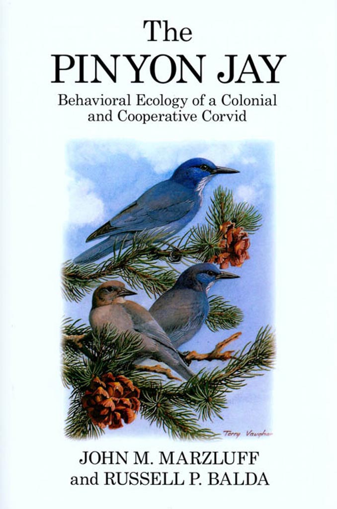 THE PINYON JAY. BEHAVIORAL ECOLOGY OF A COLONIAL AND COOPERATIVE 1
