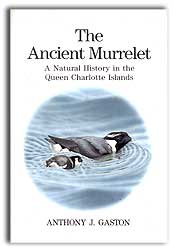 THE ANCIENT MURRELET. A NATURAL HISTORY IN THE QUEEN CHARLOTTE ISLANDS 1