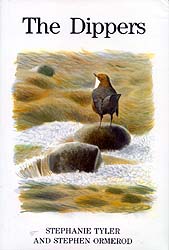 THE DIPPERS