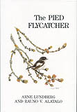 THE PIED FLYCATCHER