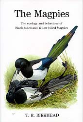 THE MAGPIES. THE ECOLOGY AND BEHAVIOUR OF BLACK-BILLED AND YELLOW-BILLED MAGPIES