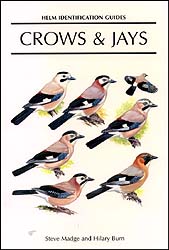 HELM IDENTIFICATION GUIDES. CROWS & JAYS 1