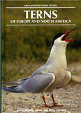 HELM IDENTIFICATION GUIDES. TERNS OF EUROPE AND NORTH AMERICA 1