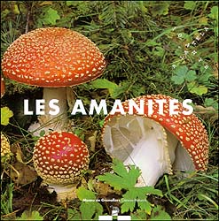 LES AMANITES