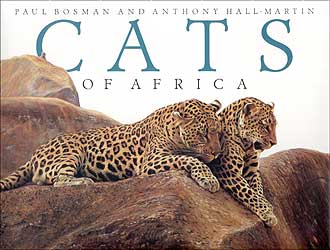 CATS OF AFRICA