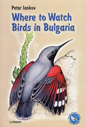 WHERE TO WATCH BIRDS IN BULGARIA 1