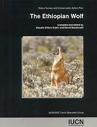 THE ETHIOPIAN WOLF