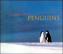 MITSUAKI IWAGO'S. PENGUINS