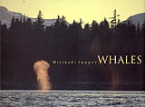 MITSUAKI IWAGO'S. WHALES