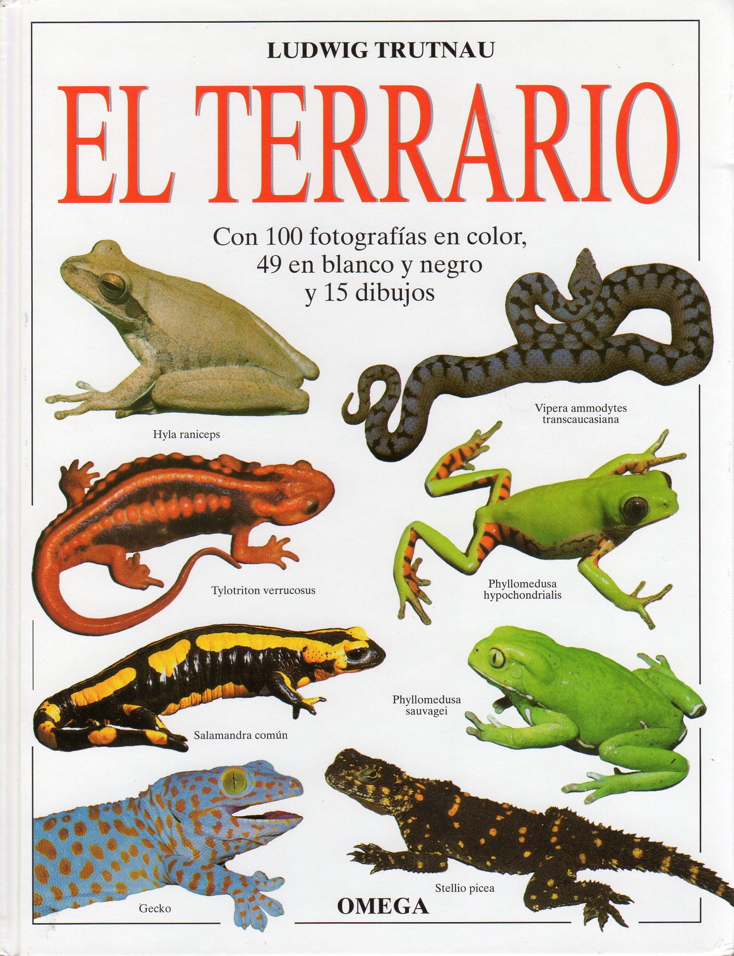 EL TERRARIO