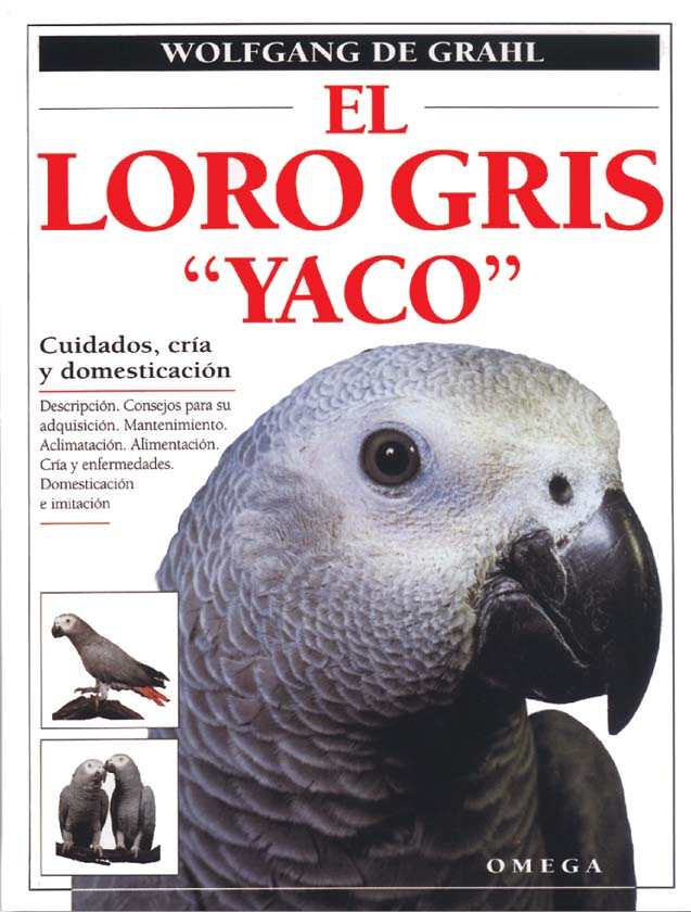 EL LORO GRIS \