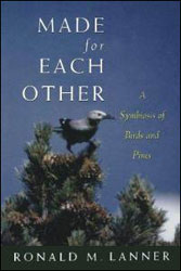 MADE FOR EACH OTHER. A SYMBIOSIS OF BIRDS AND PINES